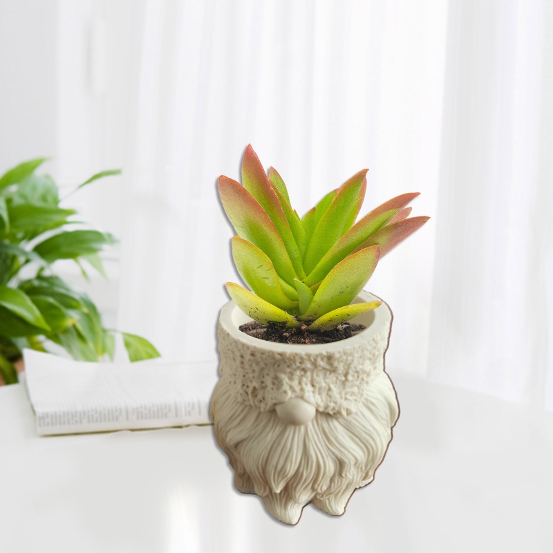 Khuôn Bằng Silicon Để Làm Chậu Hoa Tiện Dụng Và Bền