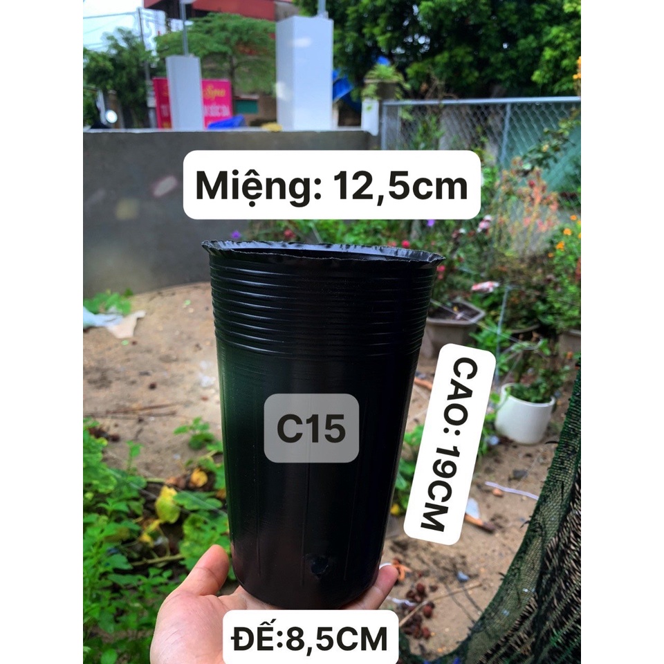 BẦU ƯƠM CÂY GIỐNG MÃ C15 (VIÊN NÉN XƠ DỪA, BẠT PHỦ ĐẤT CHỐNG CỎ, KEO LIỀN SẸO CÂY...)