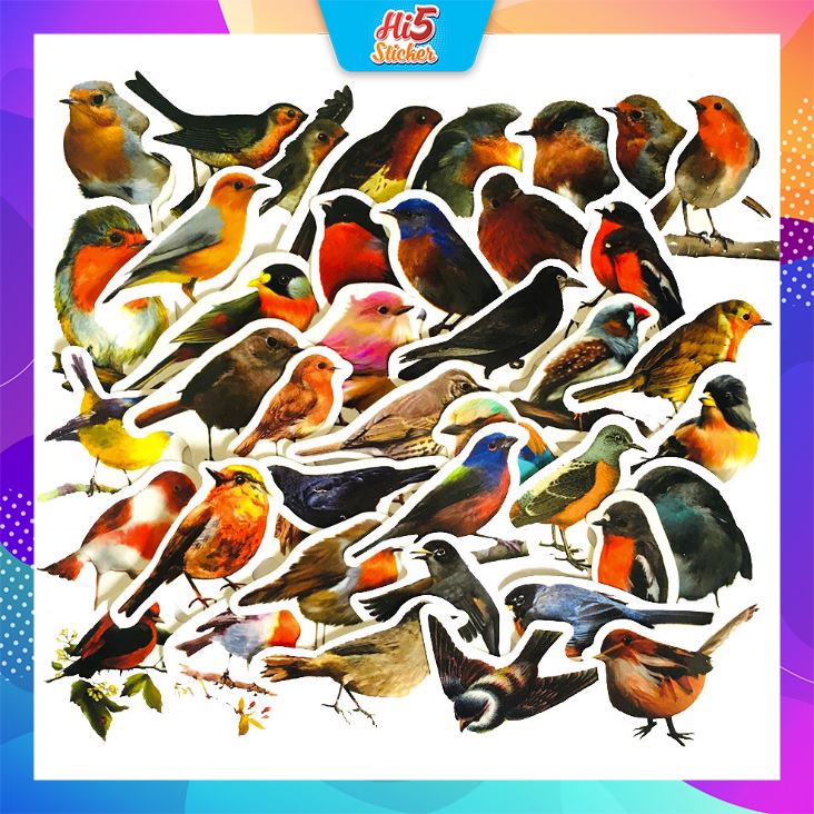 Sticker bộ sưu tập chim Cực COOL ms#247