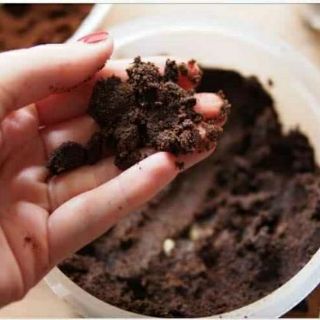 500g bã Cà phê tẩy da chết