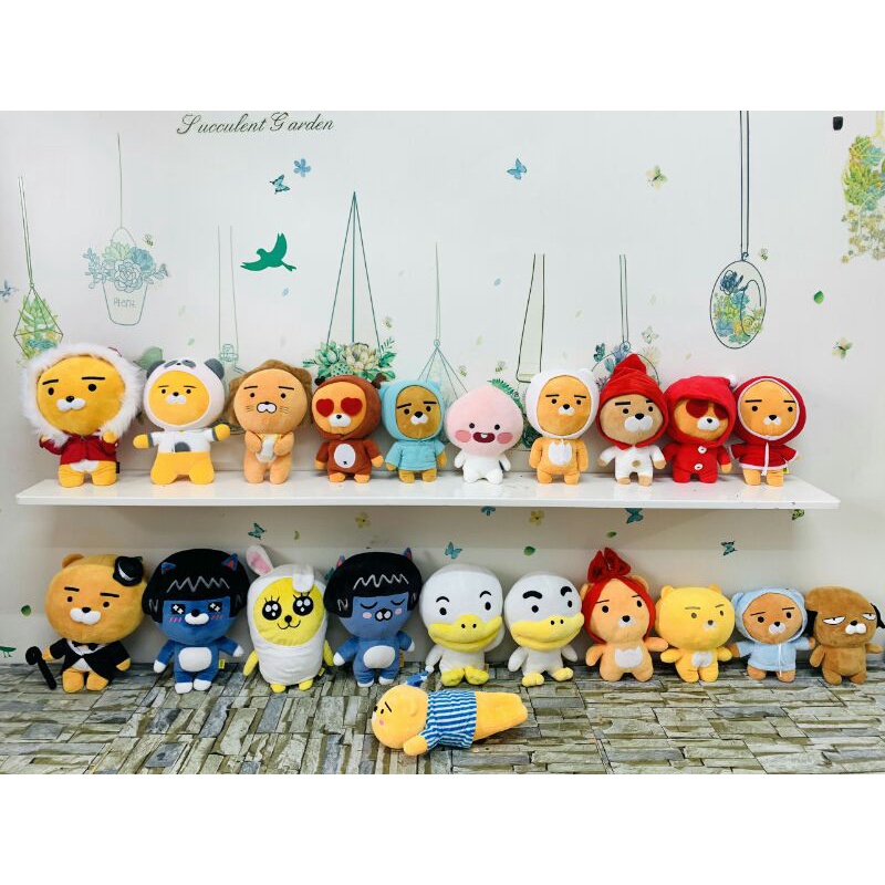 Gấu bông sale