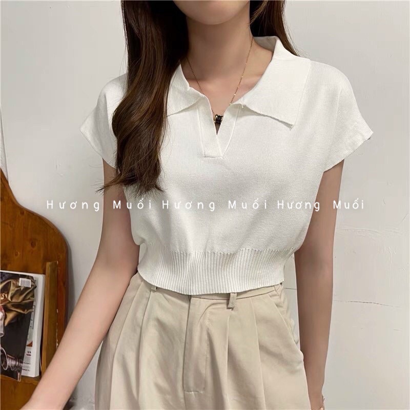Áo len cổ polo trơn - áo croptop | BigBuy360 - bigbuy360.vn