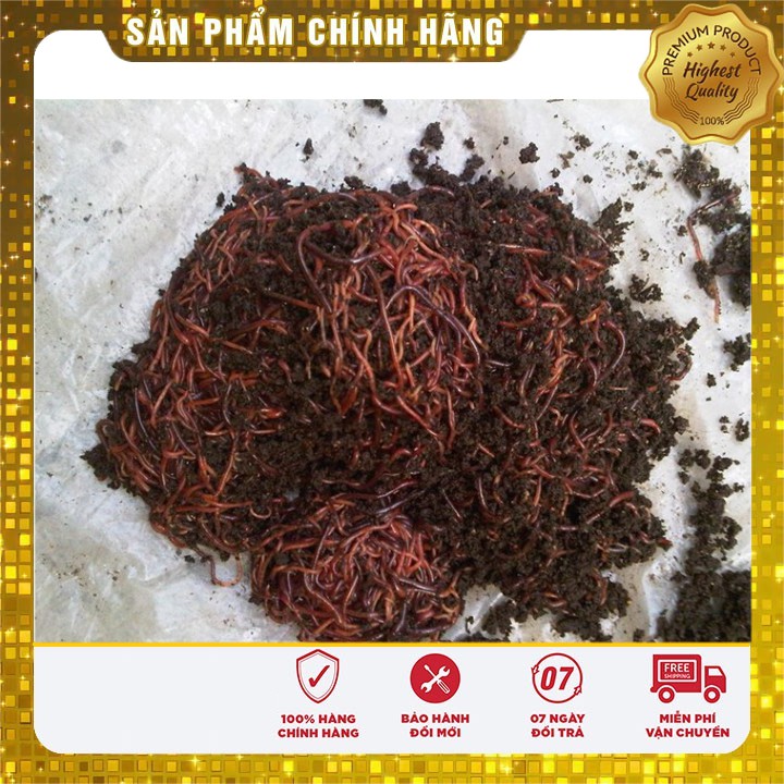 PHÂN BÓN VI SINH TRÙN QUẾ ĐỎ - 2KG