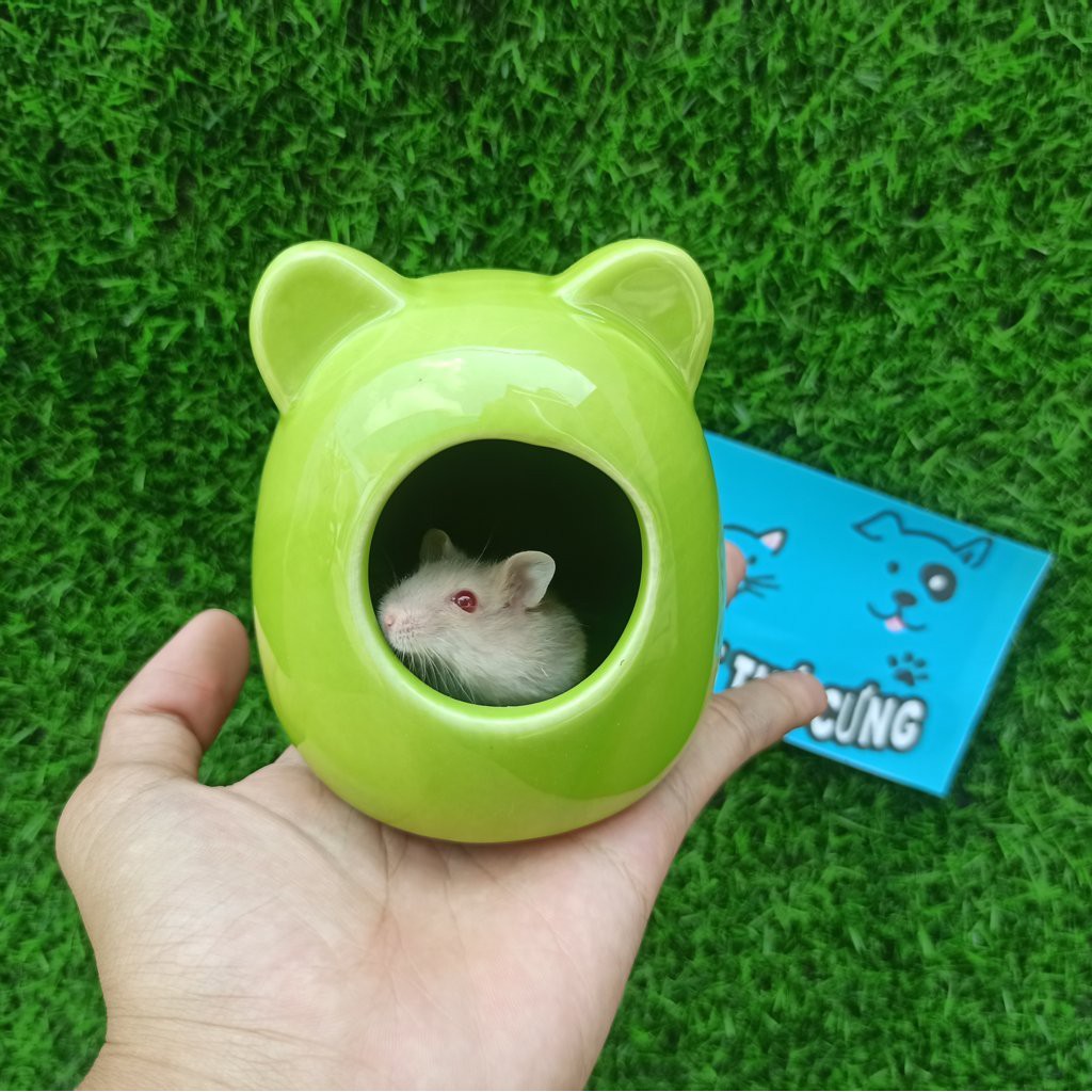 Nhà ngủ hamster hình gấu Size lớn.