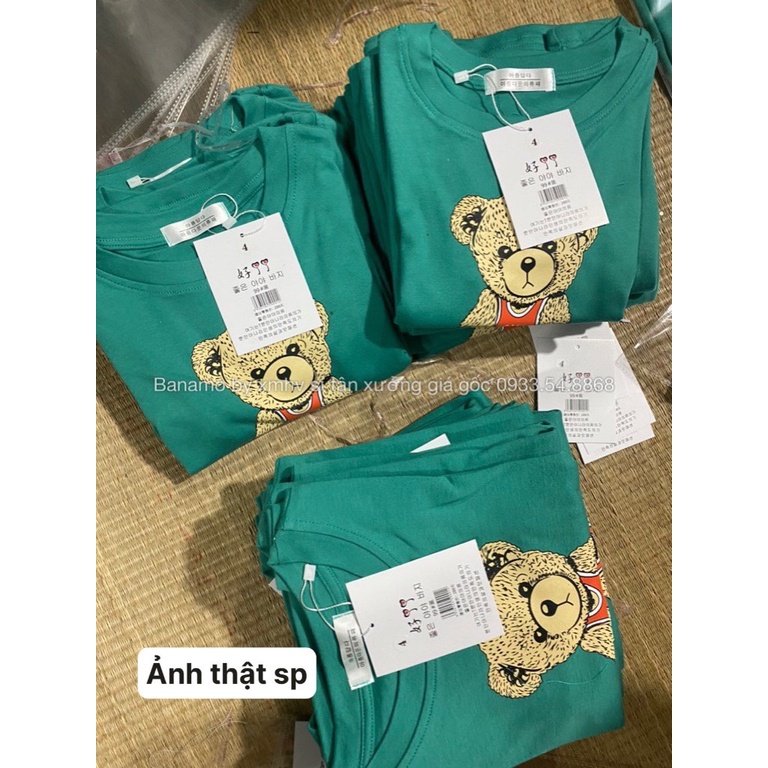 Áo thun đồng phục gia đình áo phông hình gấu xinh xỉu thời trang Banamo Fashion 3115