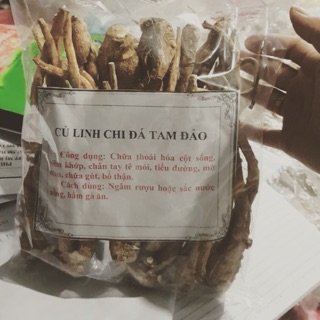 Củ Linh Chi Đá (Bạch Chỉ )Tam Đảo 1kg