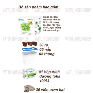 Bộ 5 thùng thủy canh trồng rau ăn lá- tặng 2 hủ dung dịch thủy canh sạch- viên nén ươm hạt
