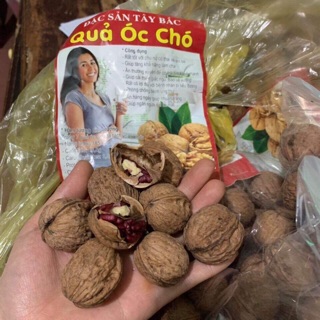 Óc chó rừng 1kg