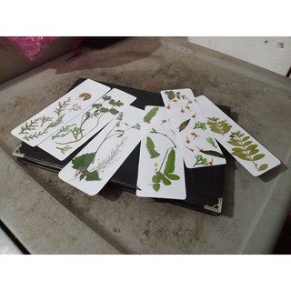 Bookmark Hoa Khô Ép (#suongman)