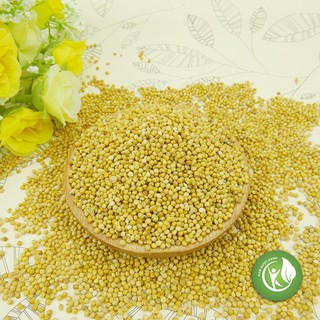 Hạt Kê Nếp Vàng 1KG - ND117