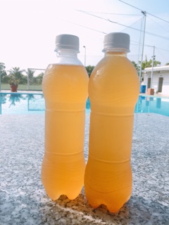 Trà Kombucha từ scoby- 980ml