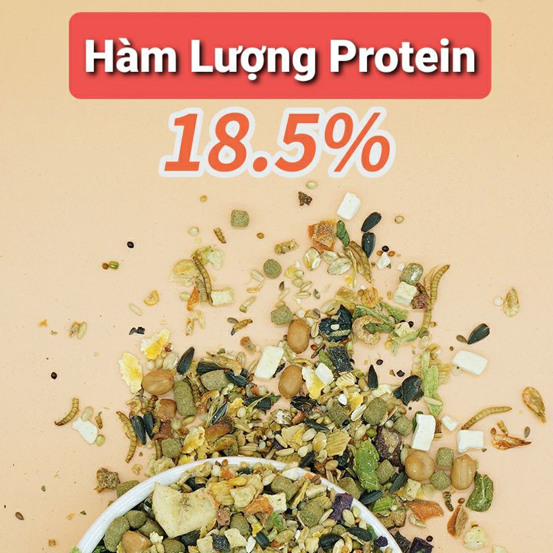 [Mã PET50K giảm Giảm 10% - Tối đa 50K đơn từ 250K] [EcoForest]Thức ăn 900g cho hamster Bear(Hsd 06/2022)