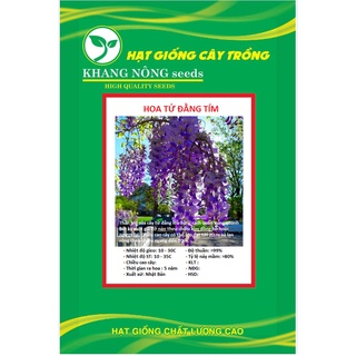 Hạt giống hoa tử đằng hoa màu tím kns3480- gói 5 hạt