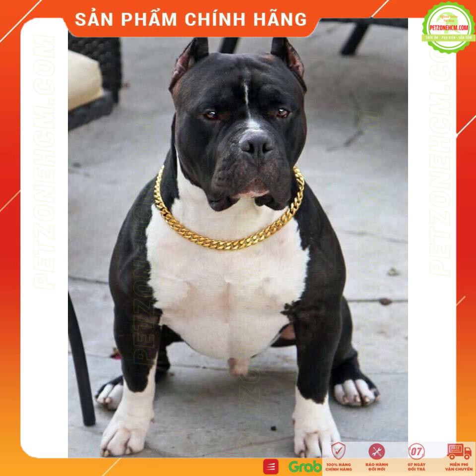 DÂY CHUYỀN XI MẠ VÀNG CHO BULL DÀI 30CM