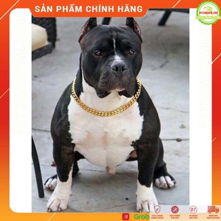 DÂY CHUYỀN XI MẠ VÀNG CHO BULL DÀI 30CM