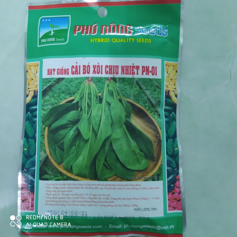 CẢI BÓ XÔI CHỊU NHIỆT