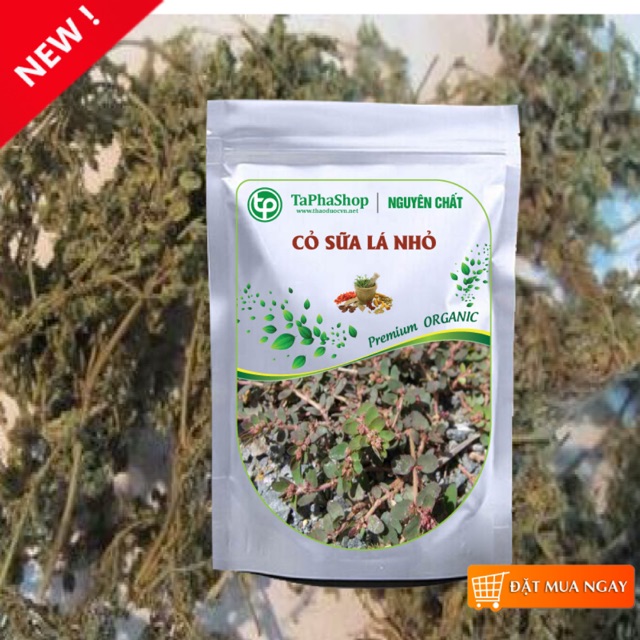 1kg cây cỏ sữa khô ( lá nhỏ)