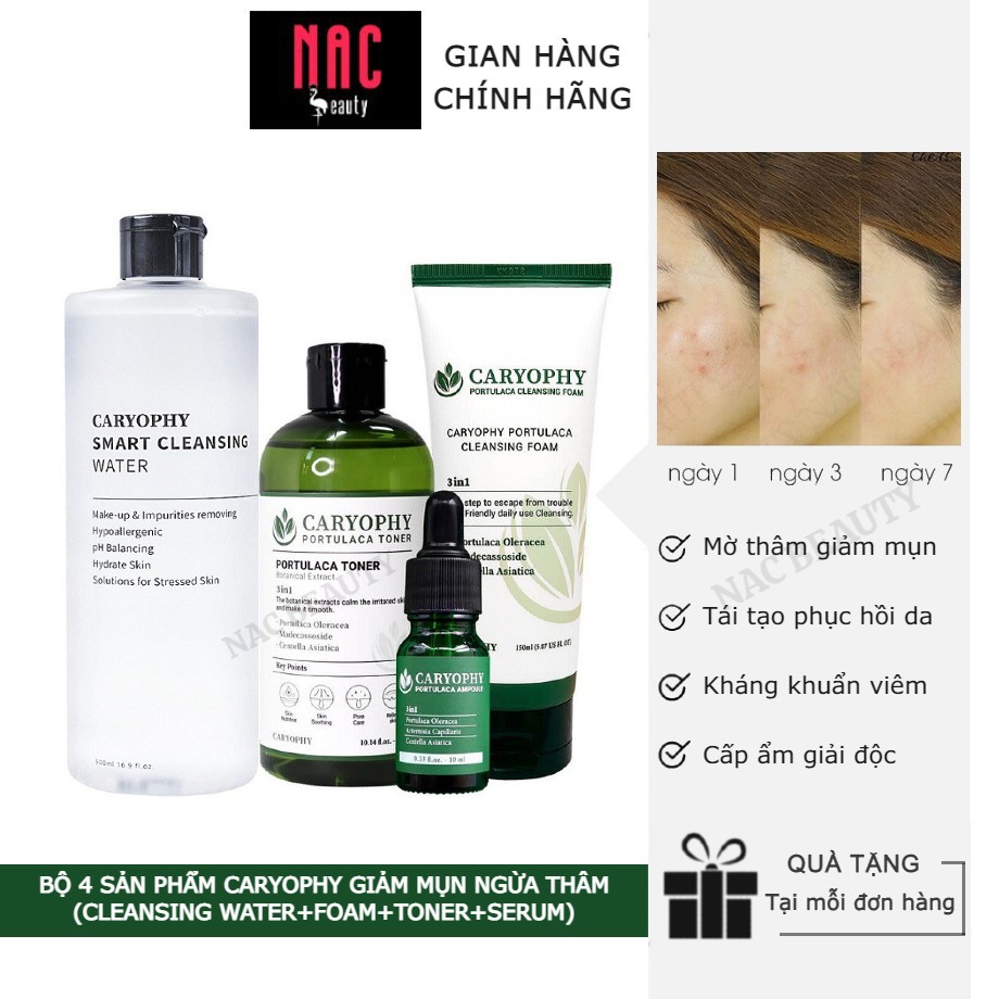 Bộ Sản Phẩm Caryophy Chăm Sóc Da Toàn Diện,Sạch Sâu,Giảm Mụn Ngừa Thâm(Cleansing Water 500ml+Cleansing Foam+Toner+Serum)