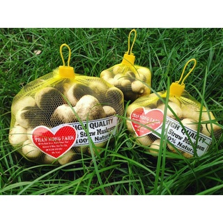 Dinh Dưỡng Xịt Nấm Rơm HVP