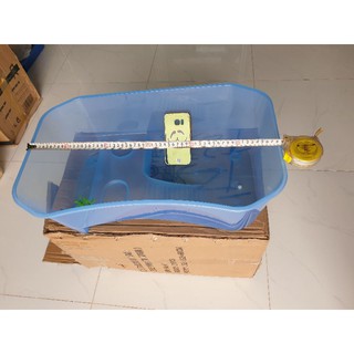 Hồ nuôi Rùa bán cạn big Size