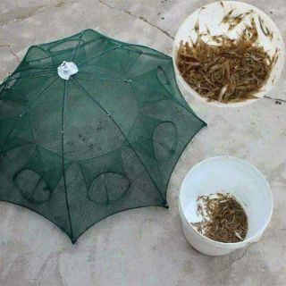 Lưới bắt cá _tôm
