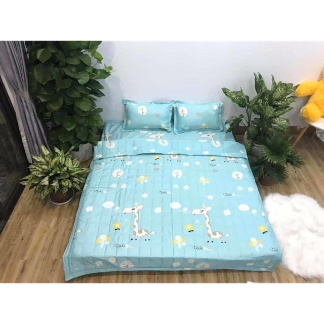 Full set 5 món poly cotton