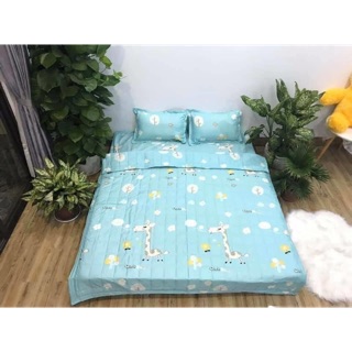 Full set 5 món poly cotton