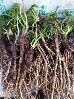 1kg Củ Sâm Đá Rừng Tây Bắc