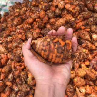 tinh bột nghệ Bảo An 1kg (1kg đc 2 hộp như hình)