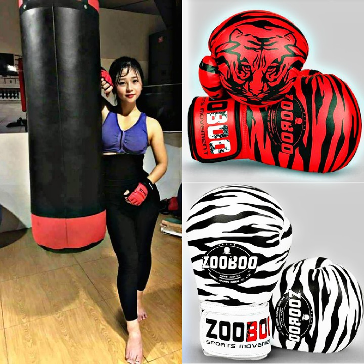 Combo Vỏ Bao Cát Võ Thuật + Găng Tay Boxing ZooBoo - Thiết bị tập đấm bốc tại nhà dành cho cá nhân boxing, mma, muay