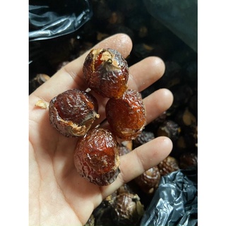 Trái Bồ Hòn Khô Đã Tách Hạt