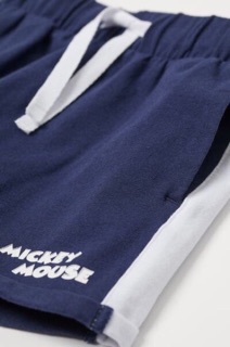 Set Mickey HM