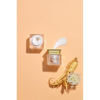 [Chính hãng Motree] Kem dưỡng da ban đêm - Cấy trắng Men Gaọ + Sâm Núi | BigBuy360 - bigbuy360.vn