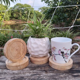 Đế lót ly gỗ, đôn chậu sen đá xương rồng cây cảnh mini để bàn