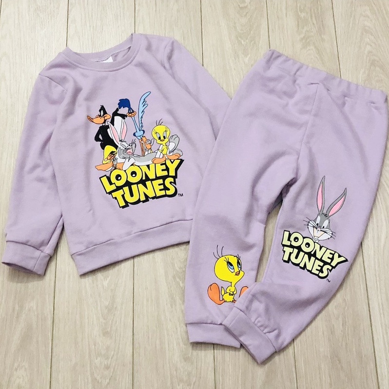 Bộ dài tay thu đông bé gái - Set 2 bộ nỉ LOONEY TUNES tím HM cho bé gái size1-6t