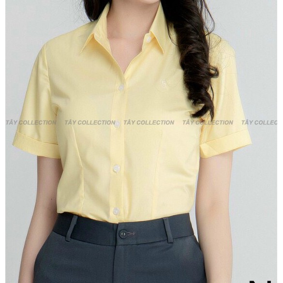 Sơ Mi Công Sở Nữ Cao Cấp TÂY COLLECTION, Vải Nhập, May Kĩ, Chiết Eo Mặc Ôm Tôn Dáng