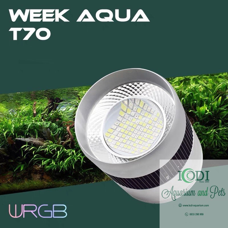 Đèn Bể Cá Week T Series T90 Pro T70 RGB