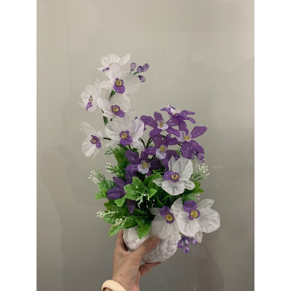 Chậu hoa ơha lê cao 40-45cm