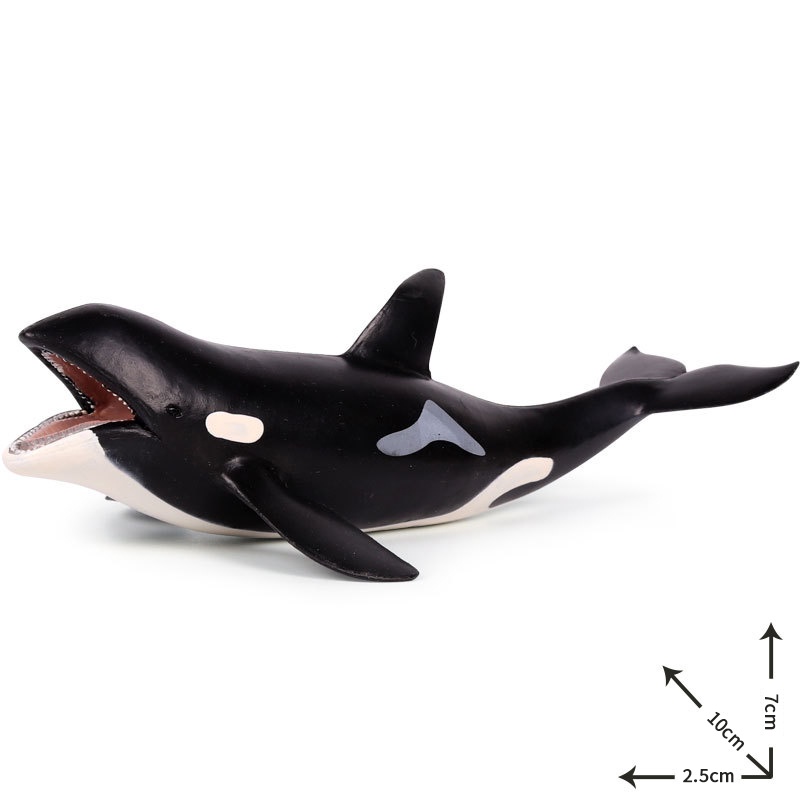 Đồ trang trí Cá Mập megalodon Sát Thủ Cá Voi Đồ Chơi Cho Bé