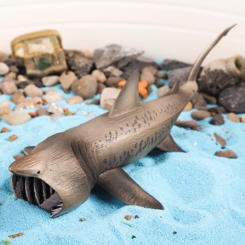 Đồ trang trí Cá Mập megalodon Sát Thủ Cá Voi Đồ Chơi Cho Bé