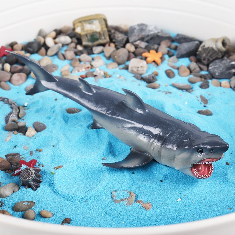 Đồ trang trí Cá Mập megalodon Sát Thủ Cá Voi Đồ Chơi Cho Bé