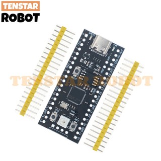 Bảng mạch rp2040 lõi type-c usb-c cho raspberry rp2 raspberry pi pico micropython