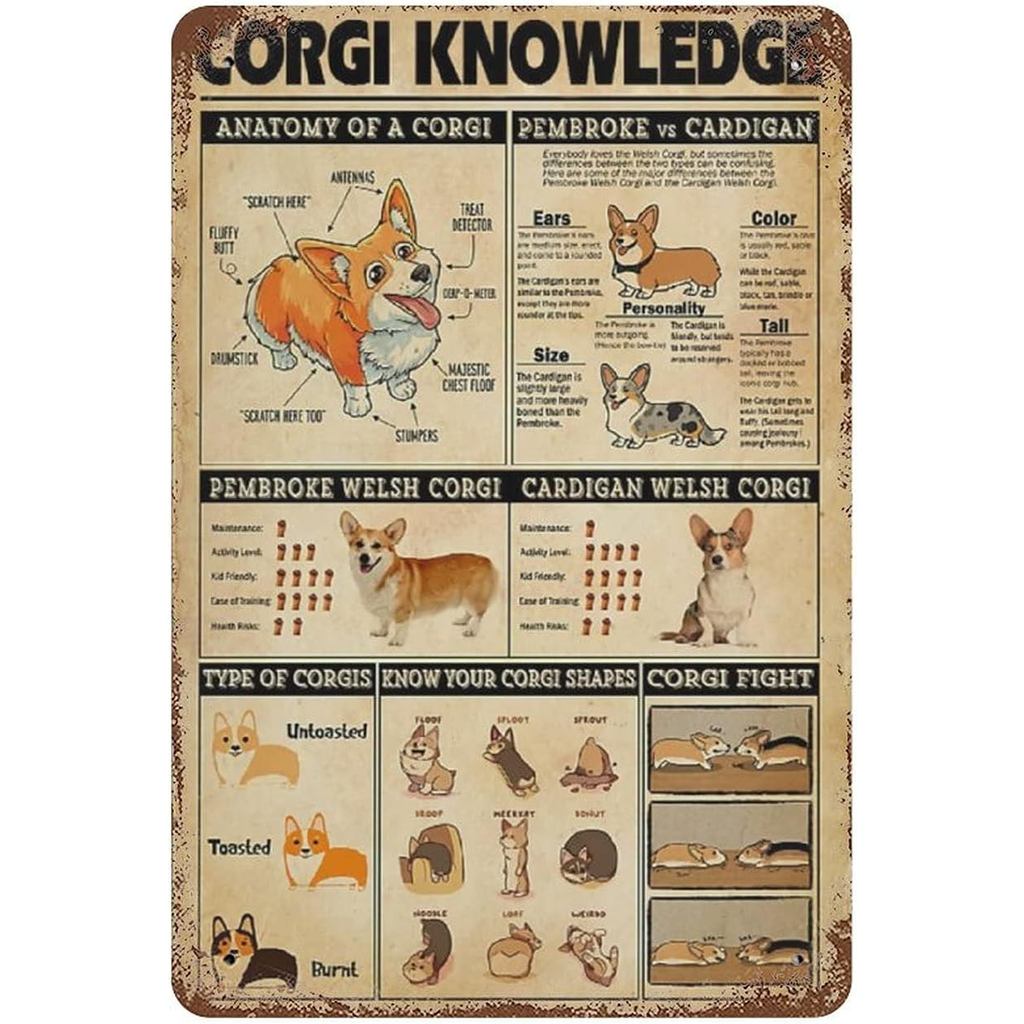 Dấu hiệu thiếc kim loại cổ điển-Corgi Kiến thức Tín hiệu, Poster kiến thức Corgi, Trang trí nhà chó 