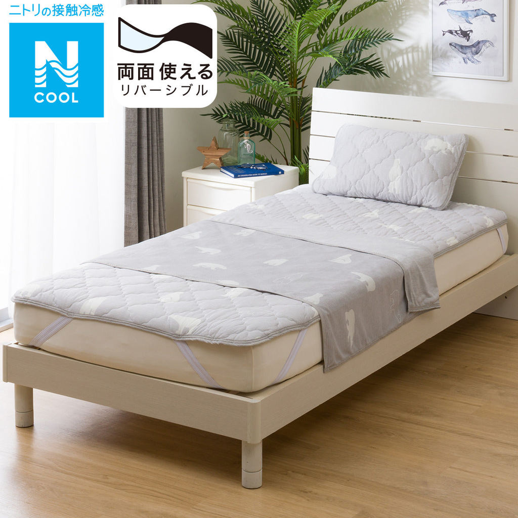 NITORI Chăn Ncool 2 Mặt Hình Gấu Size Q