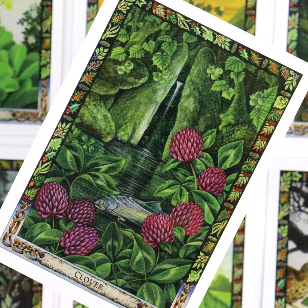 10.4 * 7.3cm The Druid Plant Oracle 36 Thẻ: Làm việc với thực vật huyền diệu của truyền thống Druid