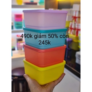 Hộp bảo quản thực phẩm small Summer Fresh