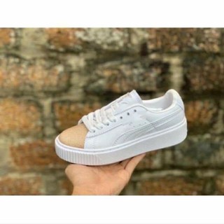 Puma nhiều màu