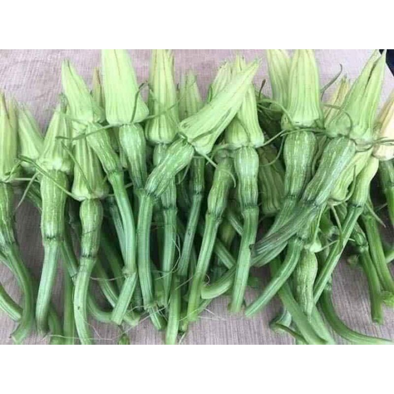 Hạt giống bí đỏ hồ lô Trang Nông TN6 gói 2g