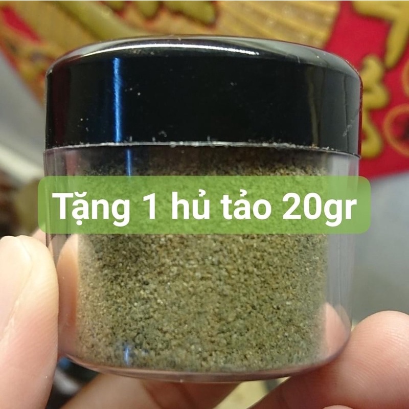 Combo 2 hạt tặng 1 hũ tảo dành cho chim thạch Yến,bảy màu