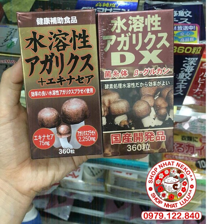 Nấm thái dương Agaricus chiết xuất Beta glucan và hoa cúc Echinacea Nhật bản 360v Phòng ung thư tăng cường hệ miễn dịch